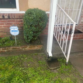 Bush Trimming by Manny los Lawn Care Services reviewed on December 10, 2024