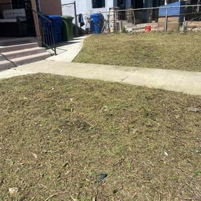 Cleanups by Adams Paiz reviewed on June 3, 2020