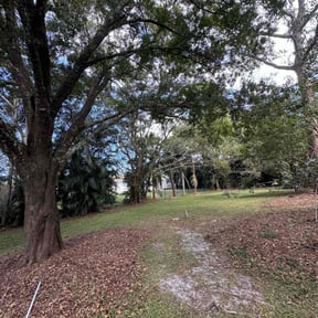 Leaf Removal by Cornelius Newkirk reviewed on July 11, 2022