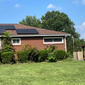 Bush Trimming by Curb Appeal Lawn and Landscape Services reviewed on June 4, 2025