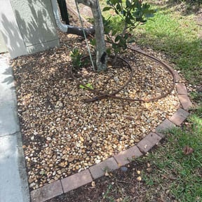 Flower Bed Weeding by Clean cut maintence reviewed on July 15, 2022