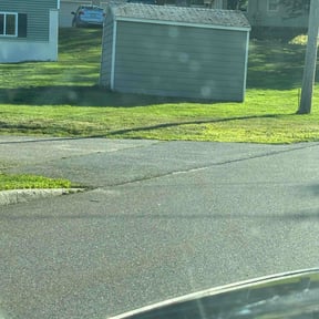 Bush Trimming by Blue Diamond Cleaning Services reviewed on July 29, 2022