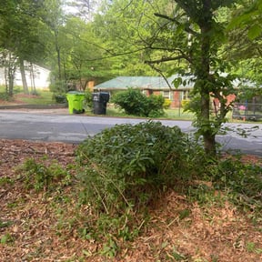 Bush Trimming by Sunshine landscaping reviewed on June 5, 2022