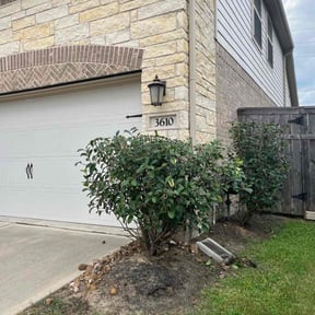Bush Trimming by Mejia landscaping reviewed on August 14, 2025