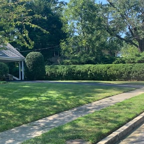 Mulching by Greg's gardens reviewed on May 27, 2025