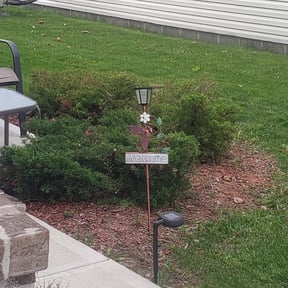 Bush Trimming by A. Shook reviewed on August 12, 2024