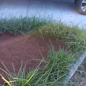 Landscaping by Cummings and Cummings Lawn Care reviewed on January 15, 2025