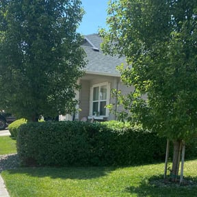 Bush Trimming by Luxury Finish Lawn care reviewed on May 2, 2022