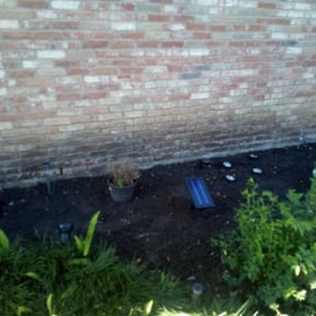 Flower Bed Weeding by Daniel campos reviewed on February 18, 2025