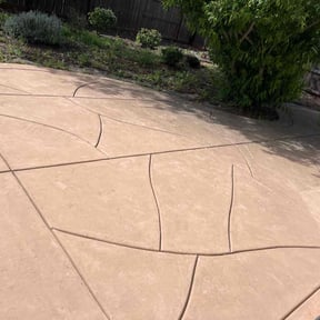 Leaf Removal by SSC LLC reviewed on July 8, 2022