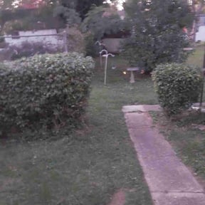 Bush Trimming by Ascension Care, LLC. reviewed on May 4, 2022