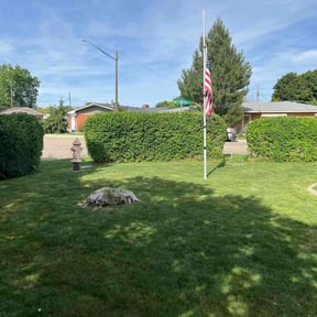 Bush Trimming by YardGoat Mowing reviewed on May 28, 2022