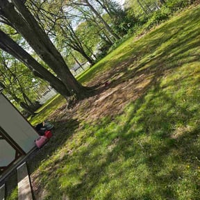 Leaf Removal by A-1 Affordable Lawn Care reviewed on November 28, 2021