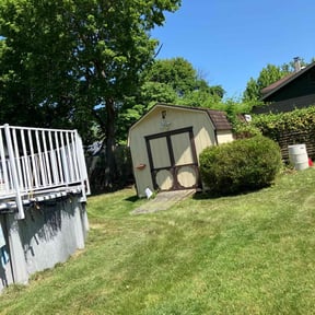 Bush Trimming by Sun's Lawn Care LLC. reviewed on November 18, 2021