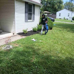 Mulching by Natural vibe  maintenance service reviewed on May 24, 2025