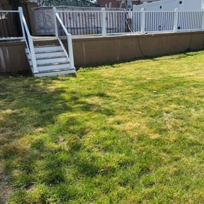 Cleanups by Rhoyalty Lawn Care, LLC reviewed on April 20, 2022