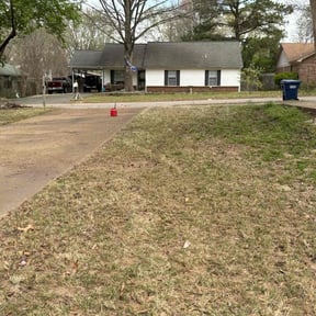Leaf Removal by Jonny's jack off services reviewed on August 17, 2024