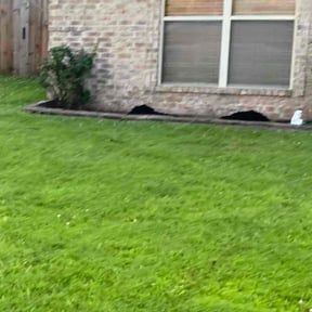 Mulching by Kelly Lawn Care reviewed on July 20, 2022