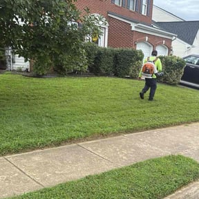 Bush Trimming by JJ Aguilar Lawn Care Inc reviewed on December 3, 2024