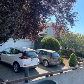 Leaf Removal by Rebecca Montague reviewed on June 29, 2022