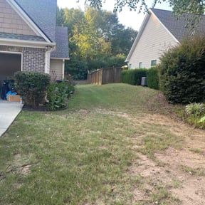 Bush Trimming by Mount Zion Landscaping and Maintenance reviewed on June 17, 2022