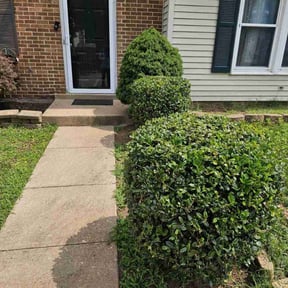 Bush Trimming by Arts Landscaping & Maintenance reviewed on May 24, 2022