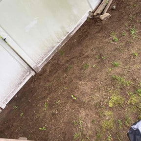 Leaf Removal by Parker Landscape & Maintenance reviewed on November 16, 2021