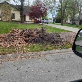 Cleanups by AG Lawn &amp; Services reviewed on May 9, 2025