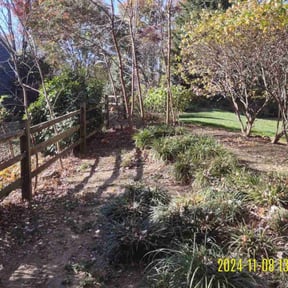 Leaf Removal by 3DM reviewed on June 10, 2022