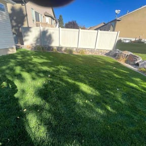 Bush Trimming by Medlyn Services L.L.C reviewed on August 21, 2021