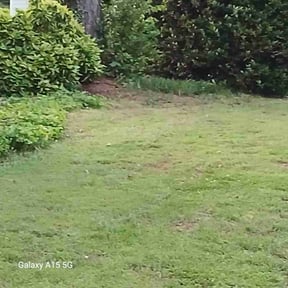 Cleanups by Rjm reviewed on June 30, 2022