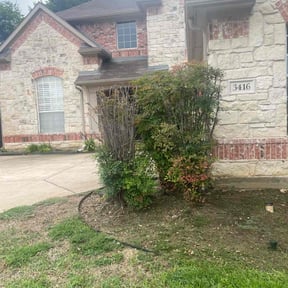 Bush Trimming by Lawn Hub reviewed on July 26, 2022