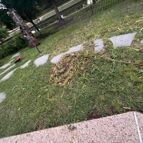 Weeding by Goetz Lawn Care reviewed on December 22, 2020