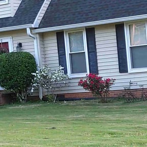Flower Bed Weeding by Brotherz Landscaping reviewed on June 6, 2022