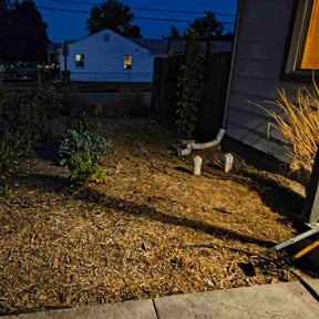 Weeding by LSLTDallas/FortWorthTruGreen reviewed on April 12, 2024