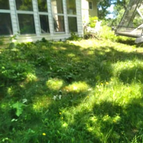 Landscaping by Phelps Lawn Care reviewed on August 3, 2022