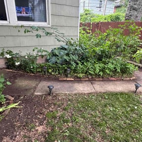 Flower Bed Weeding by A&S Landscaping and Snow Removal reviewed on April 25, 2022