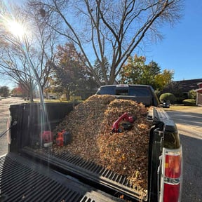 Leaf Removal by Enclave Landscape Management reviewed on June 27, 2022
