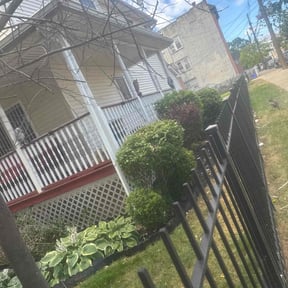 Bush Trimming by Abundant Harvest Lawn Care LLC reviewed on July 19, 2022