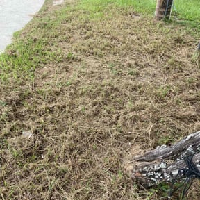 Cleanups by JJ&D Property Management reviewed on June 27, 2025