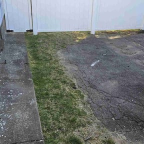 Leaf Removal by Chucks Cutz LLC reviewed on May 25, 2022