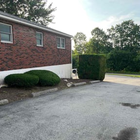 Weeding by Blue Diamond Cleaning Services reviewed on July 30, 2022
