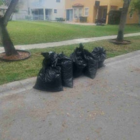 Leaf Removal by Grass Kept Clean & More reviewed on March 17, 2025