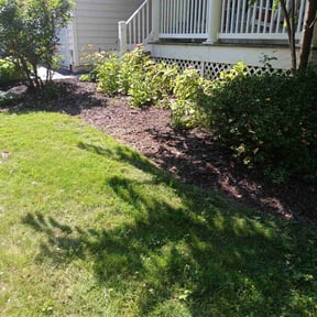 Flower Bed Weeding by Magik Compass LLC reviewed on December 1, 2021