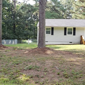 Leaf Removal by Jeri Cleaning Services reviewed on August 18, 2024