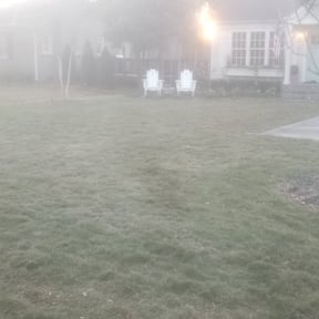 Cleanups by Loveladys Lawn Care reviewed on November 23, 2024