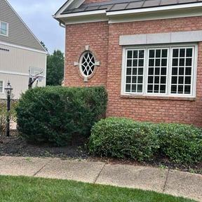 Bush Trimming by Childress Services & Solutions reviewed on July 18, 2025