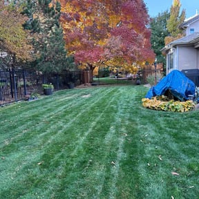 Leaf Removal by Above All Landscaping reviewed on July 7, 2022