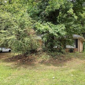 Leaf Removal by Hy-C efficiency services reviewed on June 10, 2025