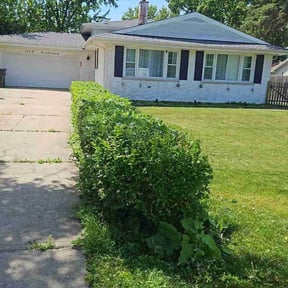 Bush Trimming by RRSCINC reviewed on July 8, 2025